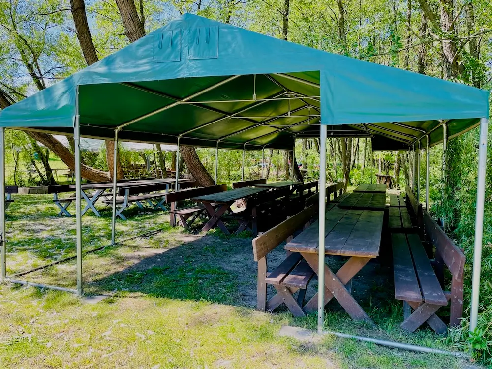 Biesiada przy ognisku dla grup szkolnych na Roztoczu - ławki i palenisko.