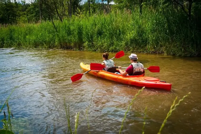 Kajaki na Roztoczu z wypożyczalni U Rudego, widok ogólny.