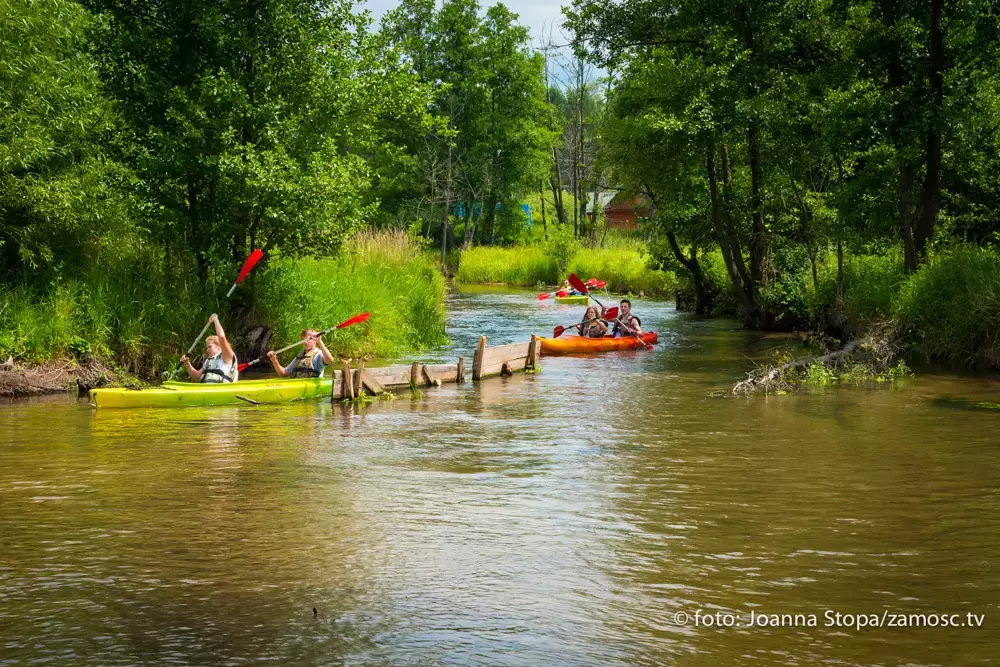 Spływy kajakowe kilkudniowe na rzece Wieprz i Tanew