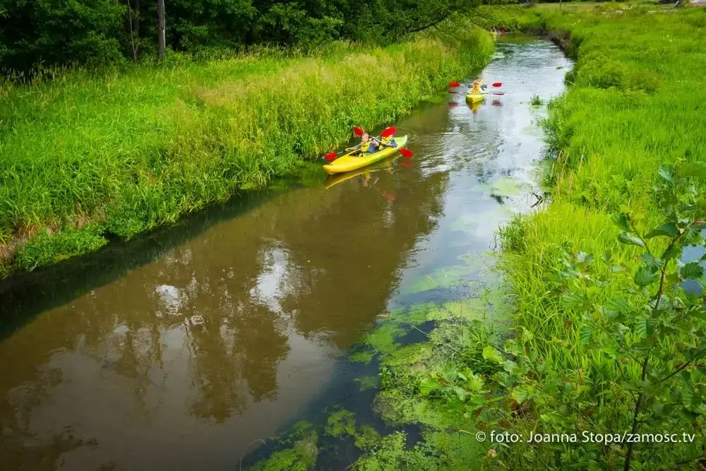 Zorganizowana grupa szkolna podczas wycieczki kajakowej.