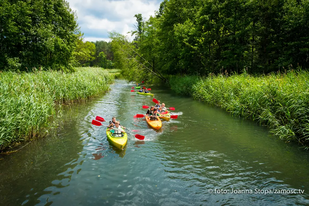 Malowniczy krajobraz Roztocza widziany z perspektywy kajaka.